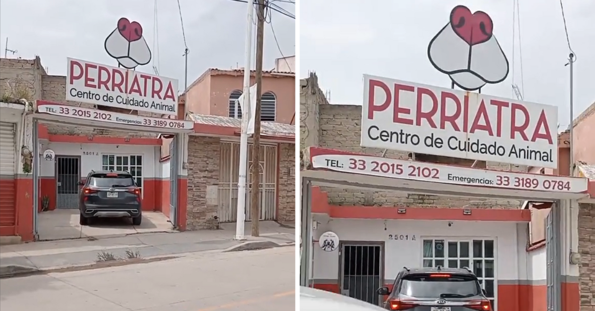"Hoy te toca ir al 'Perriatra'": Peculiar nombre de veterinaria se vuelve viral en TikTok