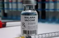 OMS aprob una segunda vacuna contra la malaria desarrollada por la Universidad de Oxford