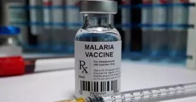 OMS aprobó una vacuna de Universidad de Oxford contra la malaria.