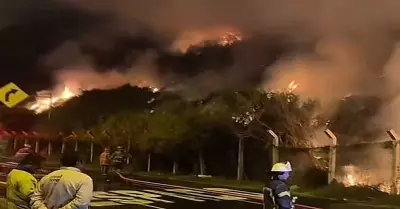 Incendio forestal en Barranco por la Costa Verde.