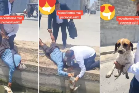 Cuatro hombres salvan a un perrito en Chiclayo.