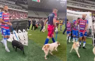 Enternecedor! Jugadores de Fortaleza ingresaron al campo con perros rescatados para promover su adopcin
