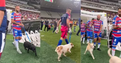 Jugadores de Fortaleza ingresaron al campo con perros