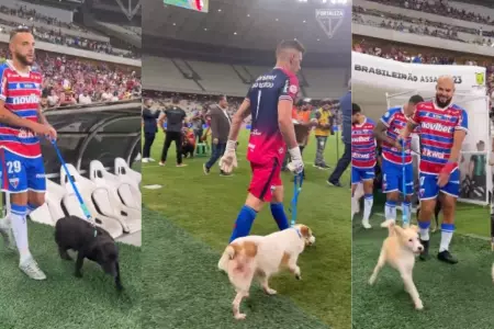 Jugadores de Fortaleza ingresaron al campo con perros