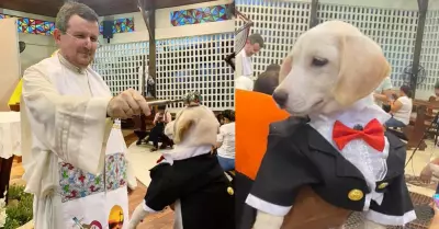 Perrito vestido con terno recibe la bendicin.