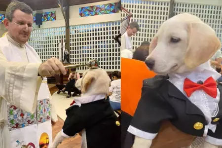 Perrito vestido con terno recibe la bendicin.