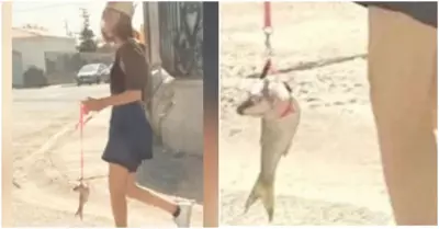 Joven desata polmica tras pasear por las calles con un pez como mascota