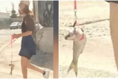 Joven desata polmica tras pasear por las calles con un pez como mascota