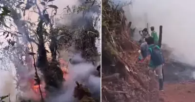 Incendio forestal en Tarapoto.