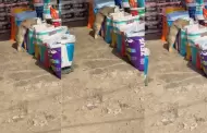 Gatito sorprende a cibernautas al comer croquetas de saco del mercado: "Control de calidad"