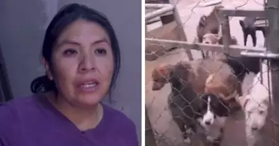 Mujer pide apoyo para evitar desalojo de albergue animal en Huancayo.