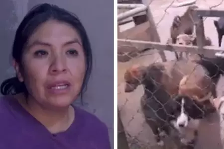 Mujer pide apoyo para evitar desalojo de albergue animal en Huancayo.