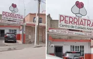 "Hoy te toca ir al 'Perriatra'": Peculiar nombre de veterinaria se vuelve viral en TikTok