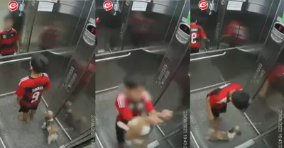 Nio salva a su perrita de morir ahorcada en un ascensor.