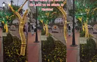 ¡Ya no falta nada! Calles del Centro de Lima sorprenden con luces navideñas: "¿Ya tienes tu arbolito?"