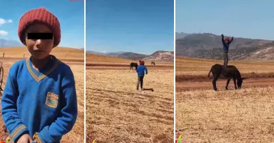 Nio juega con su burro en los campos de Arequipa.