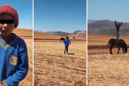 Nio juega con su burro en los campos de Arequipa.