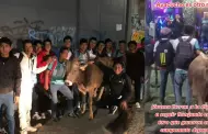 "Mi Per es otro level": Jvenes celebran en discoteca con toro que ganaron en un partido de ftbol