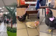 Personas pasean con gallinas en mall y usuarios reaccionan: "Cada quien camina como quiera"