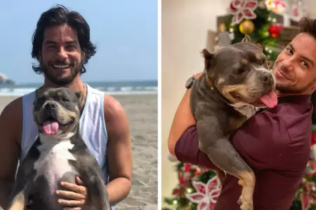 Andr�s Wiese denuncia que fue agredido por una mujer mientras paseaba a su masco