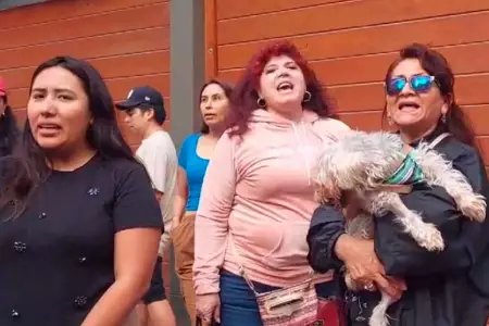 Animalistas protestan contra mujer que agredi a Andres Wiese.