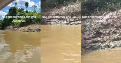 Anaconda asust a turistas que paseaban por ro en Iquitos.