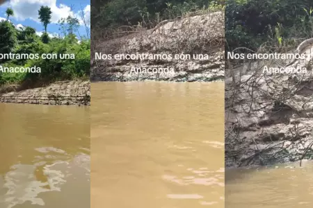 Anaconda asust a turistas que paseaban por ro en Iquitos.