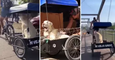 Lucas at un carrito a su bicicleta para no dejar solo a su perrito.