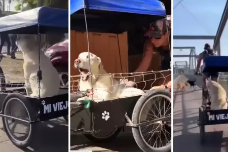 Lucas at un carrito a su bicicleta para no dejar solo a su perrito.