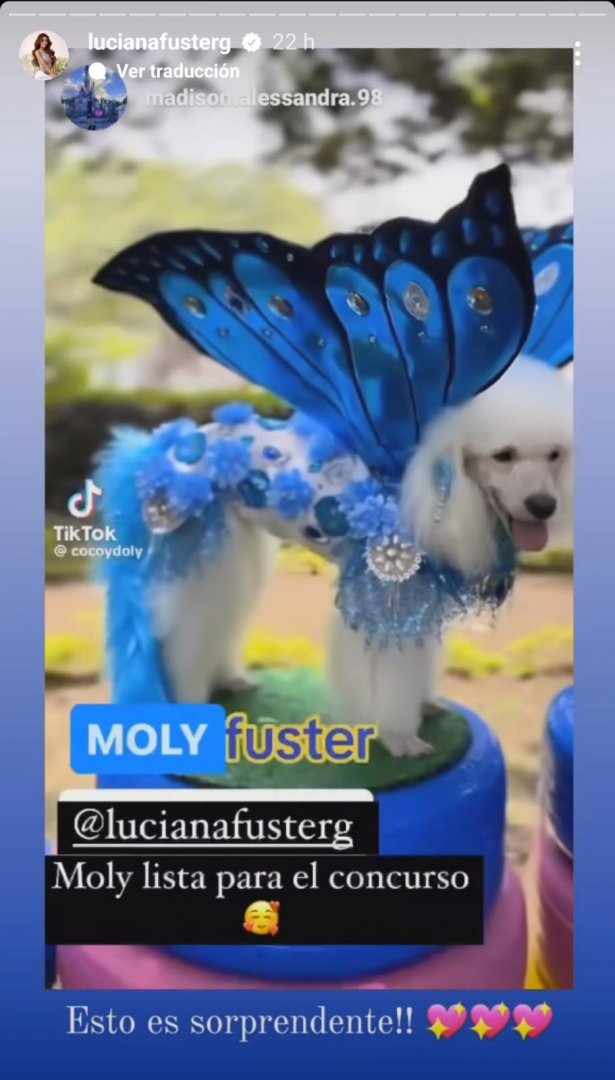 Luciana Fuster emocionada con el video de perrita usando su traje.