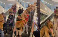 101 Golden retriever! Clientes de un mall causaron revuelo en TikTok al cargar a sus perros: "El paraso"