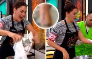 (VIDEO) Tilsa Lozano sufre fuerte quemadura en 'El Gran Chef Famosos', cmo qued su brazo?