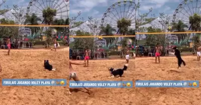 Perro causa sensacin al jugar vley playa.
