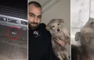 Lamentable! Perrito es abandonado por su duea en plena calle y causa indignacin