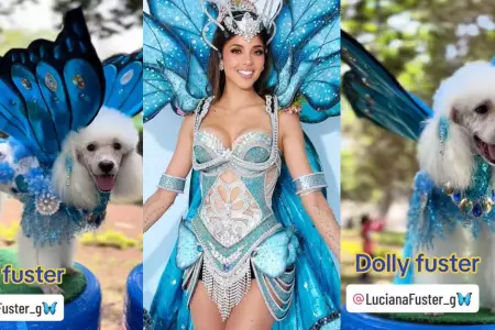 Perrita usa traje inspirado en el de Luciana Fuster.