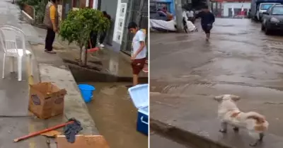 Desborde de Ro Surco afecta a vecinos de Ate.