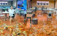 Inslito! Cafetera sorprende al ofrecer a sus clientes comer rodeados de peces nadando alrededor de sus pies