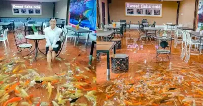 Clientes comen rodeados de peces nadando sobre sus pies.