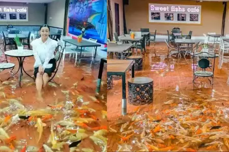 Clientes comen rodeados de peces nadando sobre sus pies.