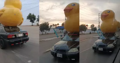 Auto con 'pato gigante' encima asombr a cibernautas.