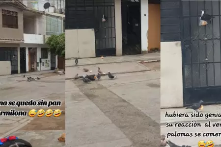 Palomas dejan sin pan a vecina por levantarse tarde.