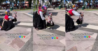 Perrita asombr a cibernautas al lucir traje tpico de Moquegua.
