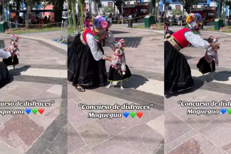 Perrita asombr a cibernautas al lucir traje tpico de Moquegua.