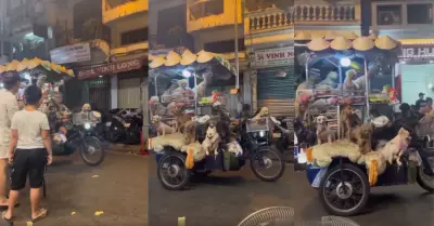 Hombre sorprende al manejar mototaxi 'repleto' de perros: "La ruta al cielo"