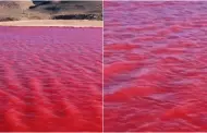 Misterio en el Ro Nilo: Seal apocalptica o fenmeno cientfico detrs de su repentino cambio a tono rojo?