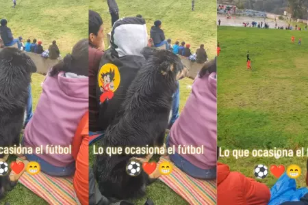 Perro sorprende al observar atentamente un partido en su comunidad.