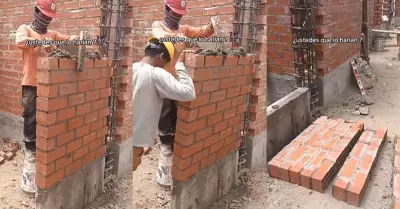 Obrero construye pared y su 'ayudante' la tumba en segundos.