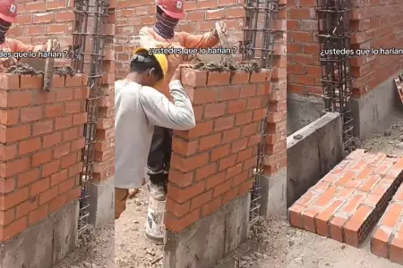 Obrero construye pared y su 'ayudante' la tumba en segundos.