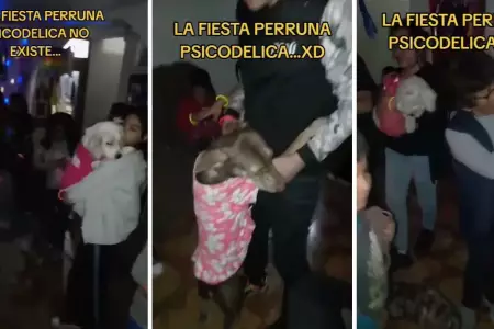 Joven organiza fiesta psicodlica a su perrito.