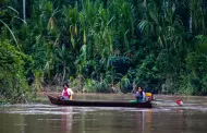 'El submundo Amaznico': Informe revela cmo el crimen organizado se est apoderando de la Amazona